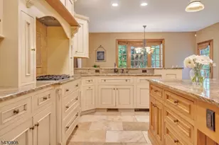 20 Diann Dr, Montville Township, NJ 07045 - Photo 24