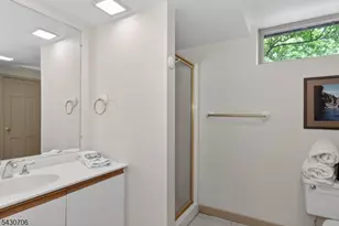 620 Van Beuren Rd, Harding Township, NJ 07960 - Photo 34