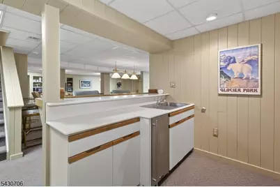 620 Van Beuren Rd, Harding Township, NJ 07960 - Photo 30