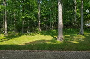 17 Drift Rd, Watchung, NJ 07069 - Photo 30