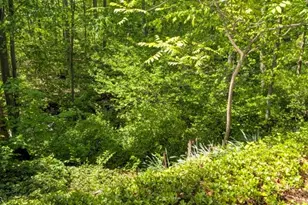 31 Cascade Way, Butler, NJ 07405 - Photo 24