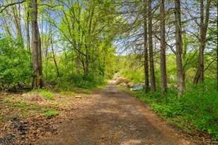 250 Pleasant Hill Rd, Chester, NJ 07836 - Photo 4