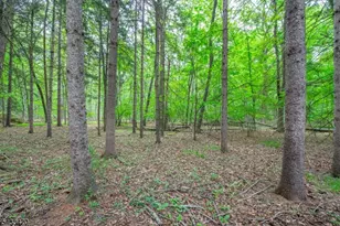 181 Center Grove Rd, Randolph Township, NJ 07869 - Photo 46