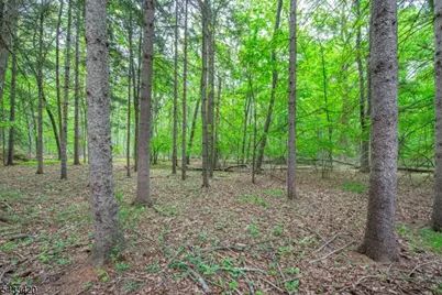 181 Center Grove Rd, Randolph Township, NJ 07869 - Photo 48