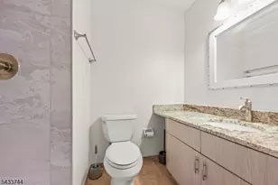 30 Chestnut Ct Ondo, Bernards Township, NJ 07920 - Photo 14