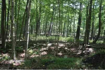 26 Fawn Run, Montague, NJ 07827 - Photo 4