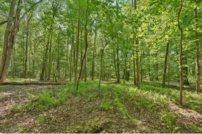 0 Homestead Rd, Long Hill Township, NJ 07933 - Photo 1