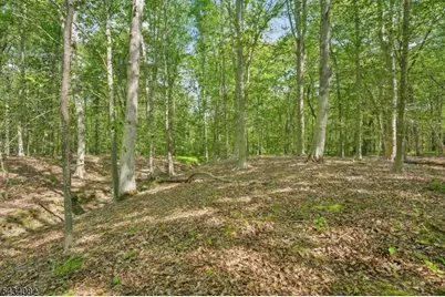 0 Homestead Rd, Long Hill Township, NJ 07933 - Photo 10