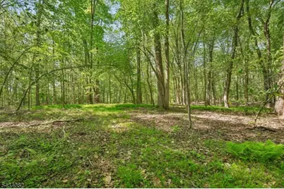 0 Homestead Rd, Long Hill Township, NJ 07933 - Photo 2
