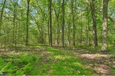 0 Homestead Rd, Long Hill Township, NJ 07933 - Photo 4