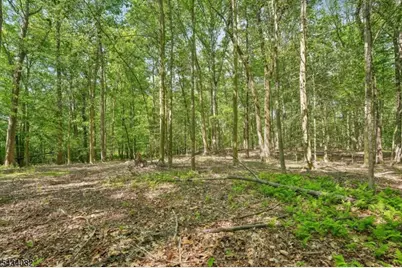 0 Homestead Rd, Long Hill Township, NJ 07933 - Photo 6