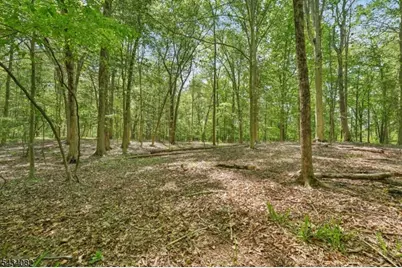 0 Homestead Rd, Long Hill Township, NJ 07933 - Photo 12