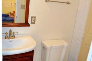 1 Willow St, Chatham, NJ 07928 - Photo 16