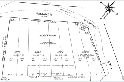 802 Brooklyn Mountain Rd, Hopatcong, NJ 07843 - Photo 1