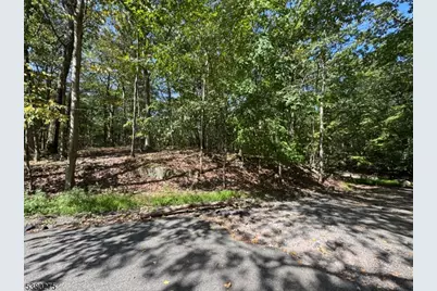802 Brooklyn Mountain Rd, Hopatcong, NJ 07843 - Photo 4
