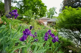 106 Division Ave, Summit, NJ 07901 - Photo 32