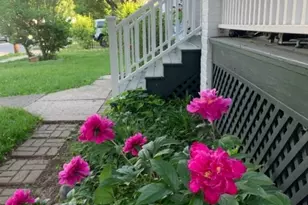 26 Davey St, Bloomfield, NJ 07003 - Photo 4
