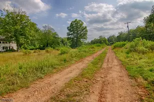 496 Mine Brk Rd, Bernardsville, NJ 07924 - Photo 22