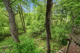 4 Meadow Oak Dr, Frelinghuysen Township, NJ 07825 - Photo 30