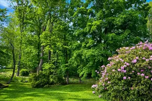 9 Wooded Hill Ln, Randolph Township, NJ 07869 - Photo 6