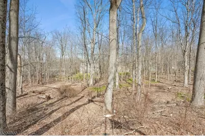 31 Branko Rd, Berkeley Heights Township, NJ 07922 - Photo 34
