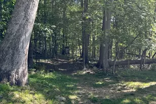 39 Overlook Dr, Independence Township, NJ 07840 - Photo 36