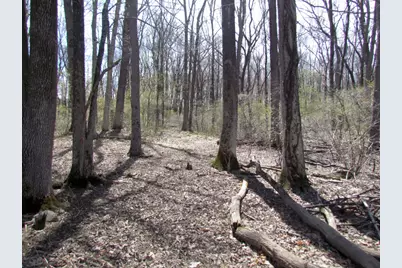 0 Mellicks Woods Rd, Pohatcong Township, NJ 08804 - Photo 20