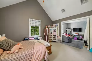24 Canoe Brook Rd, Millburn, NJ 07078 - Photo 22