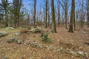 4 Emmet Roche Dr, Montville Township, NJ 07005 - Photo 28