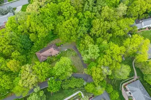 50 Mountain Ave, Chatham Township, NJ 07928 - Photo 8