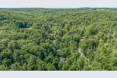 11 Pine Ridge Rd, Lebanon Township, NJ 07830 - Photo 50