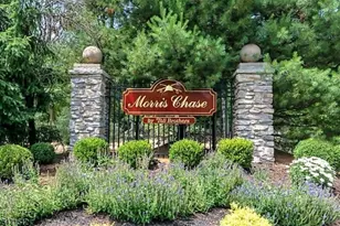 15 Julia Pl, Mount Olive, NJ 07828 - Photo 46