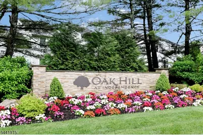 243 Harvard Dr, Independence Township, NJ 07840 - Photo 1
