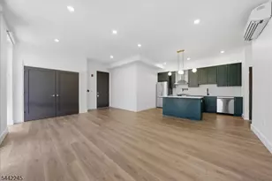 21 Lincoln Park, Newark, NJ 07102 - Photo 4