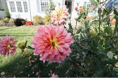 24 College Ave, Montclair, NJ 07043 - Photo 28