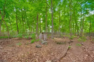 621 Mountain Dr, South Orange, NJ 07079 - Photo 44
