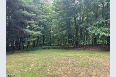 7 Hankins Rd, Wantage, NJ 07461 - Photo 8