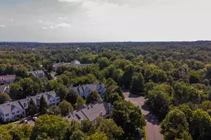 101 S Branch Dr, Readington, NJ 08889 - Photo 8