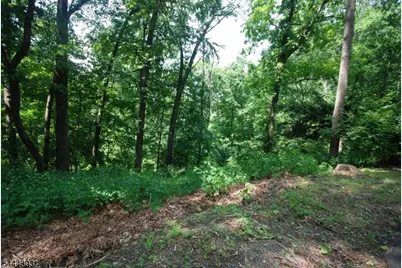 36 Mountain Lake Rd, White Township, NJ 07823 - Photo 20