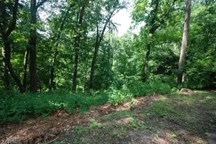 36 Mountain Lake Rd, White Township, NJ 07823 - Photo 20