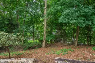 38 Valley View Ave, Summit, NJ 07901 - Photo 42