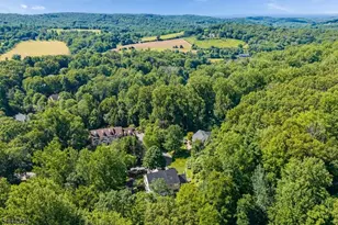 3 Connet Ln, Mendham Township, NJ 07945 - Photo 30