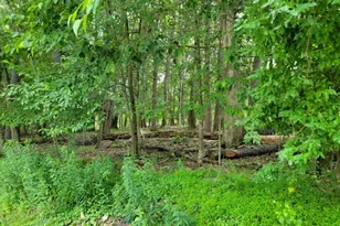 231 Old Chimney Ridge Rd, Montague, NJ 07827 - Photo 1