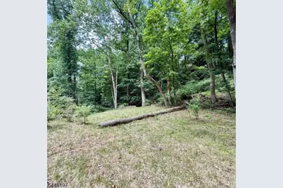 58 Hollow Rd, Lebanon Township, NJ 08826 - Photo 12