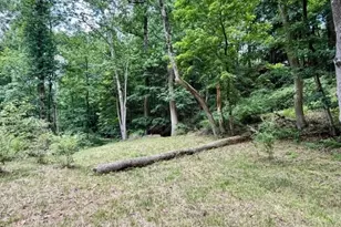 58 Hollow Rd, Lebanon Township, NJ 08826 - Photo 12