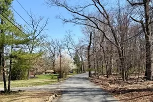 815 Miller Ln, Bridgewater, NJ 08836 - Photo 4