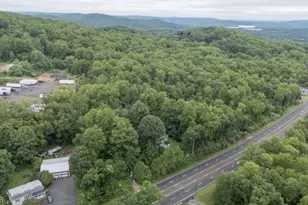 1097 State Route 173, Bethlehem Township, NJ 08802 - Photo 46