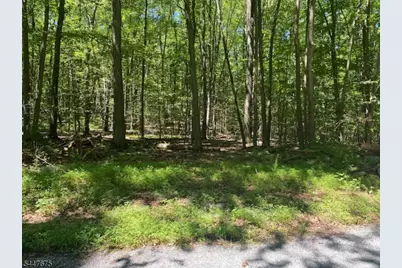 10 Newman Rd, Hardwick Township, NJ 07825 - Photo 2