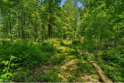 210 King George Rd, Warren Township, NJ 07059 - Photo 6