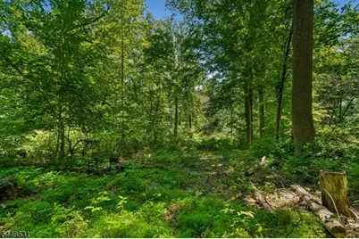 210 King George Rd, Warren Township, NJ 07059 - Photo 10